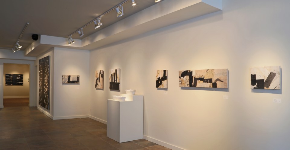 Darwin's Trees exhibit at Turman/Larison Contemporary, Helena, MT 2015